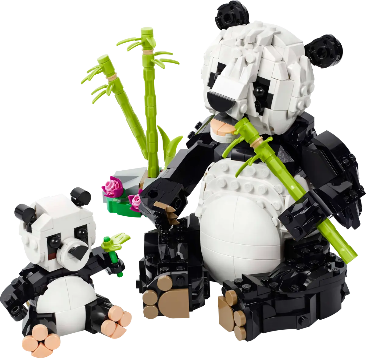 Wilde Tiere: Pandafamilie