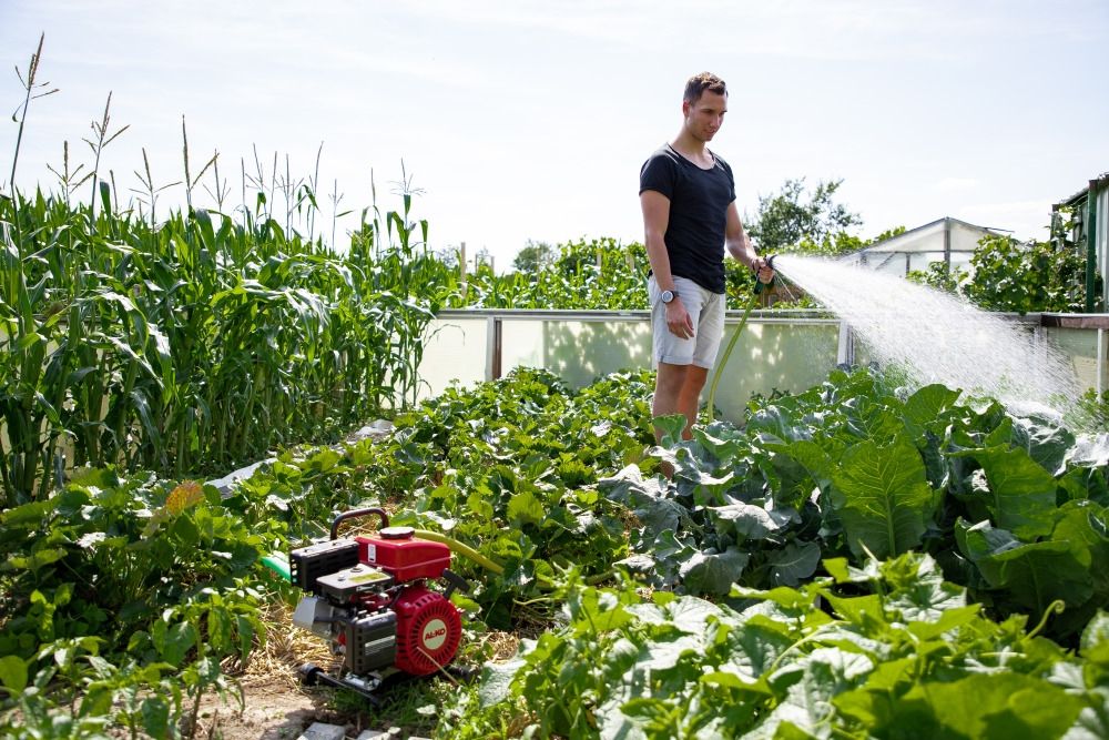 Garten, Natur, Draußen, Gartenarbeit, Gras