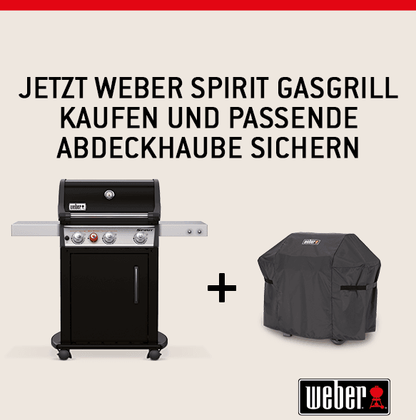 Weber Spirit